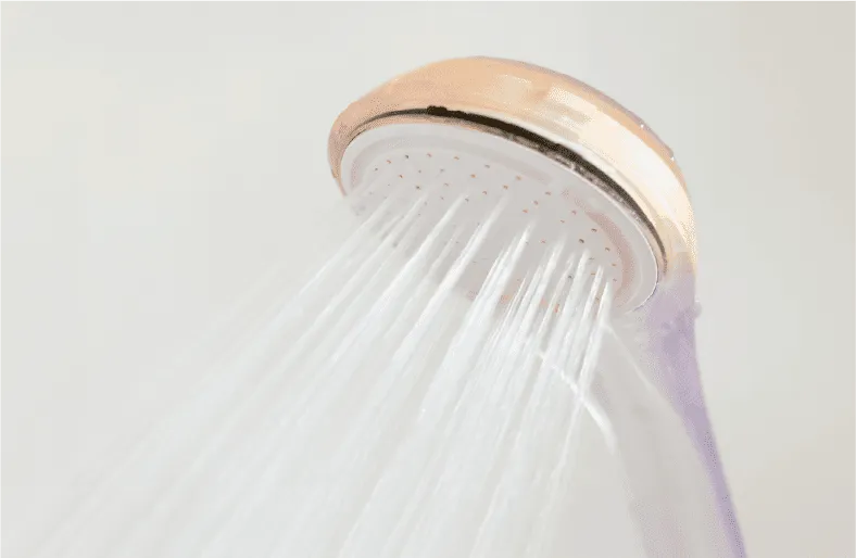 シャワーの画像