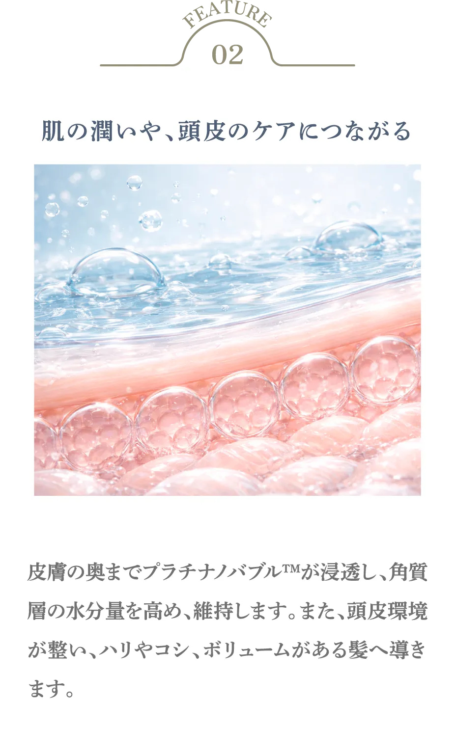 肌の潤いや、頭皮のケアにつながるイメージ画像