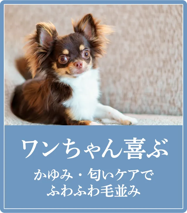 ワンちゃん喜ぶかゆみ・匂いケアでふわふわ毛並み
